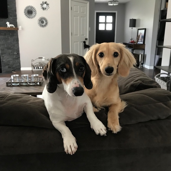 Meet your Posher, Maria - Picture 1 of 1